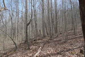 30953723