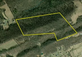 30953744
