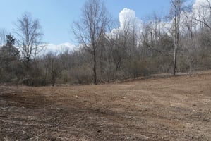 30953729