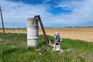 30955251