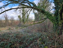 30964154