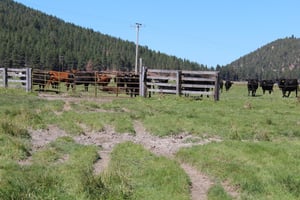 30964886