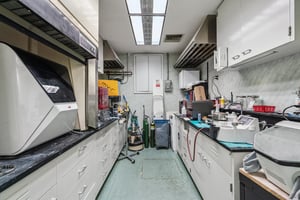 30965331
