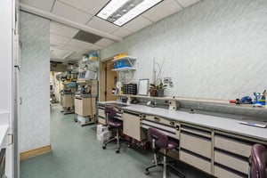 30965334
