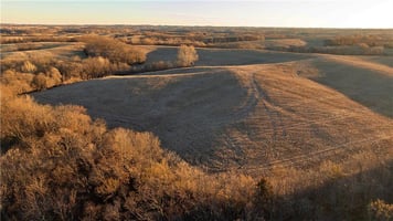 30967889
