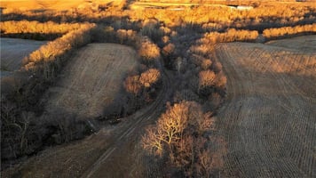 30967916