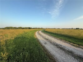 30968084