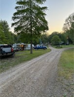30973645