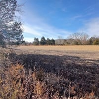 30973786