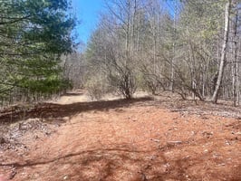 30973817