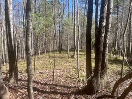 30973824