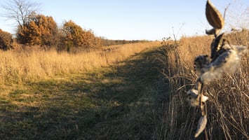 30973922