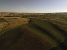 30974275
