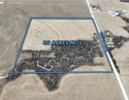 31430366