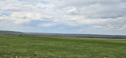 32945145