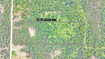 33178333