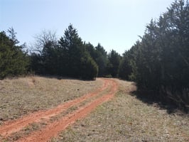 30975388