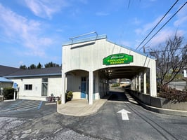 30976404