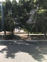 32301450