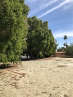 31312598