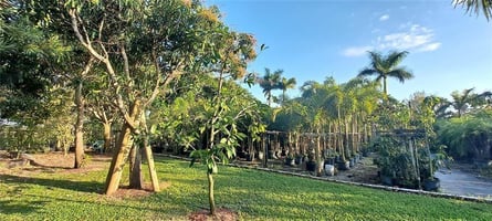 33580586