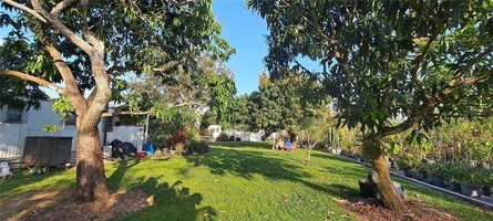 33580564