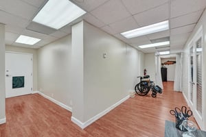 31061623