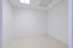 31061988