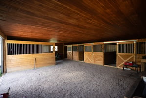 31079408