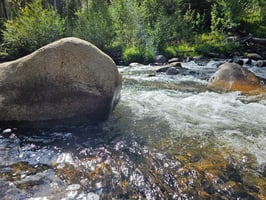 31079970