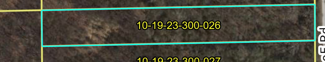 32216023