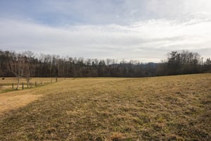 31081683