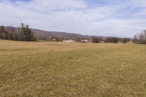 34166586