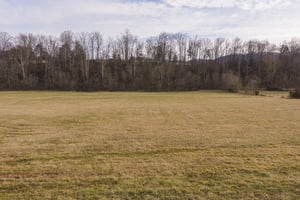 34166583