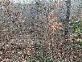 31081830