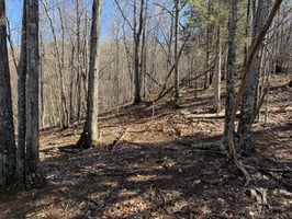 31082163