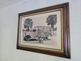 31084489