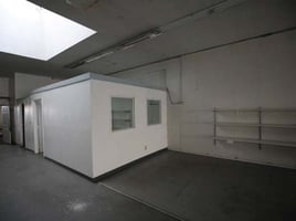 31087600