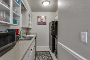 31091304