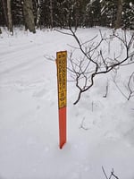 31105926