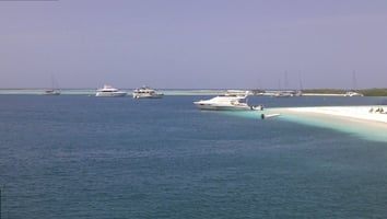 31270851