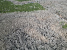 34068982
