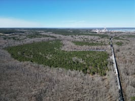 34068981