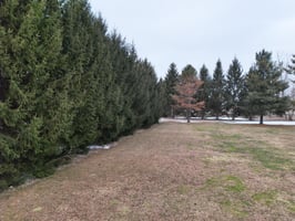 31128002