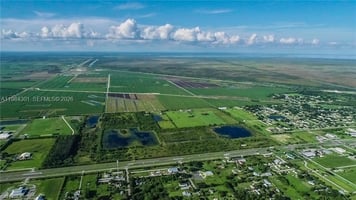 33993502