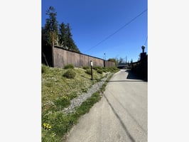 31392467
