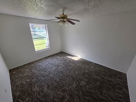 31132646