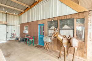 31135080