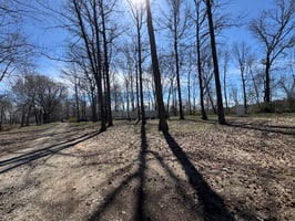 31145462