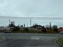 31155036